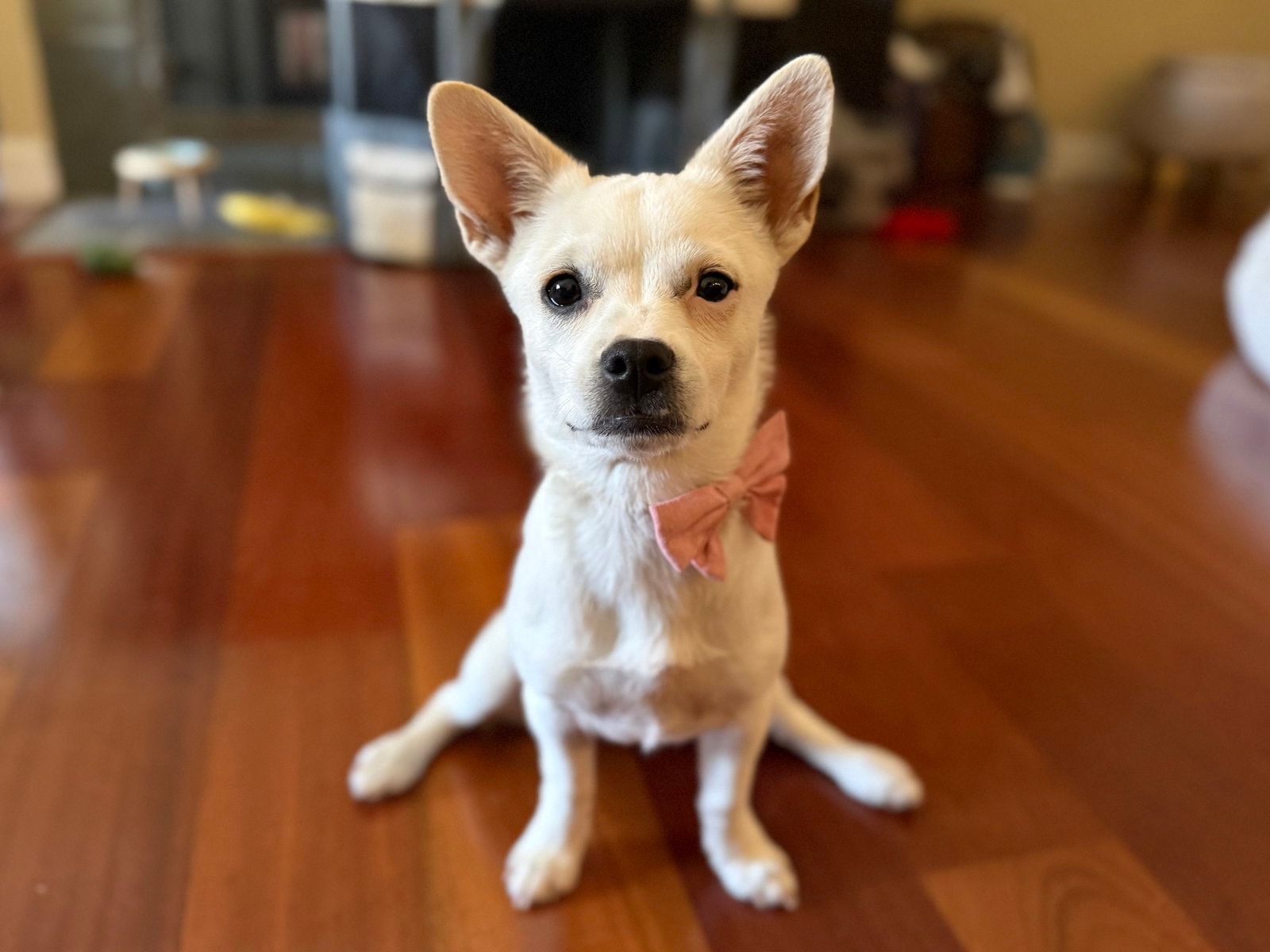 Karen