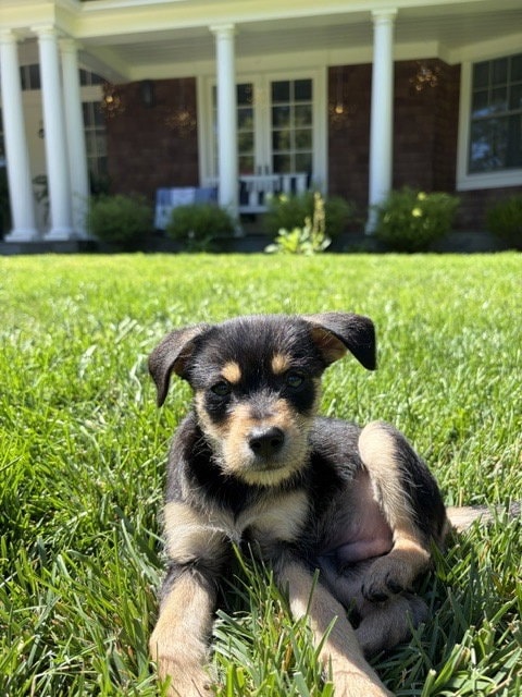 Charlie
