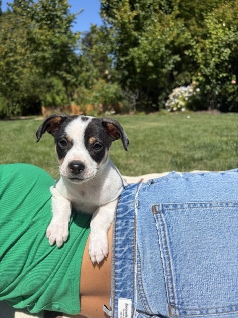 Jack