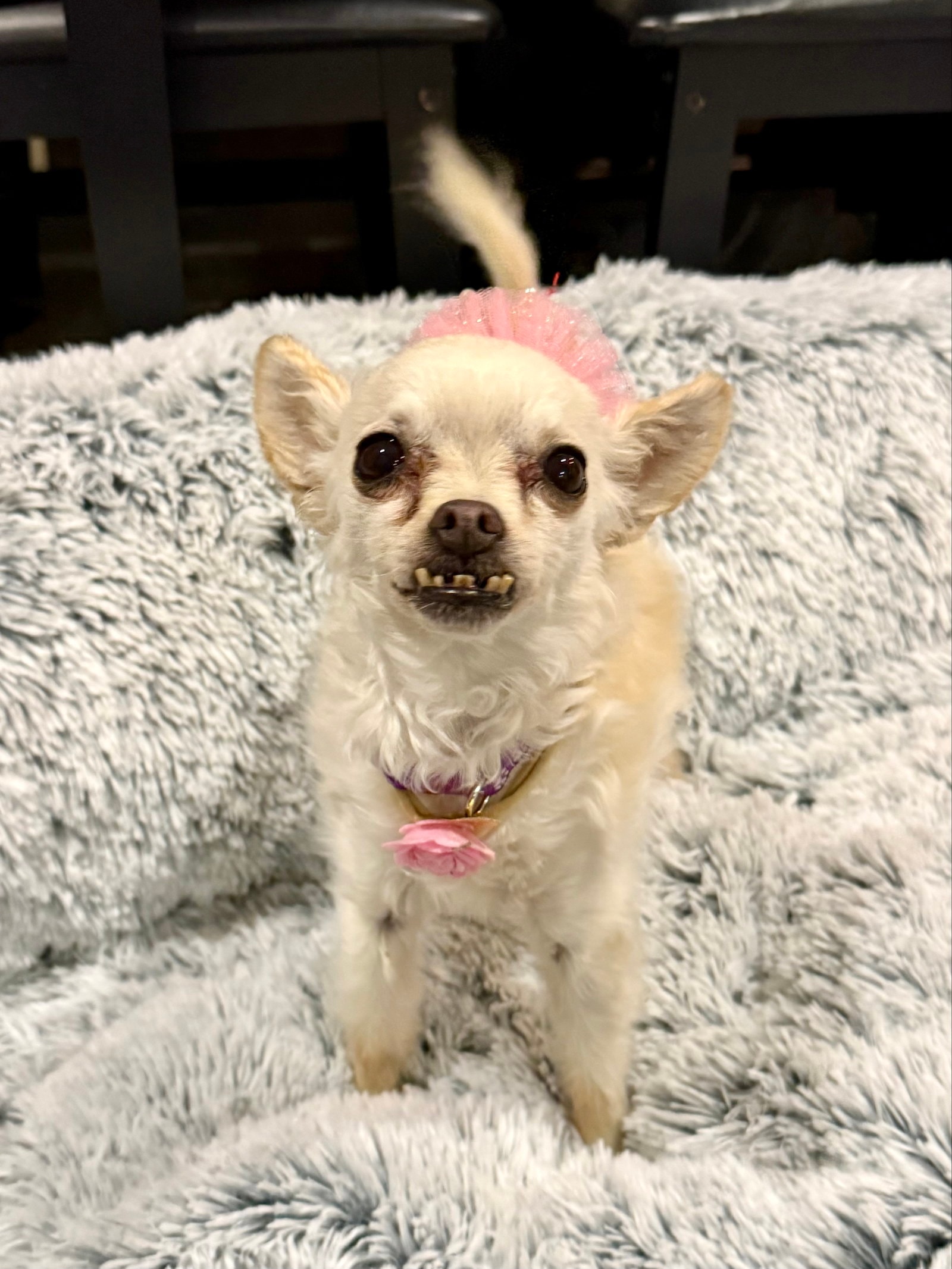 Sophie