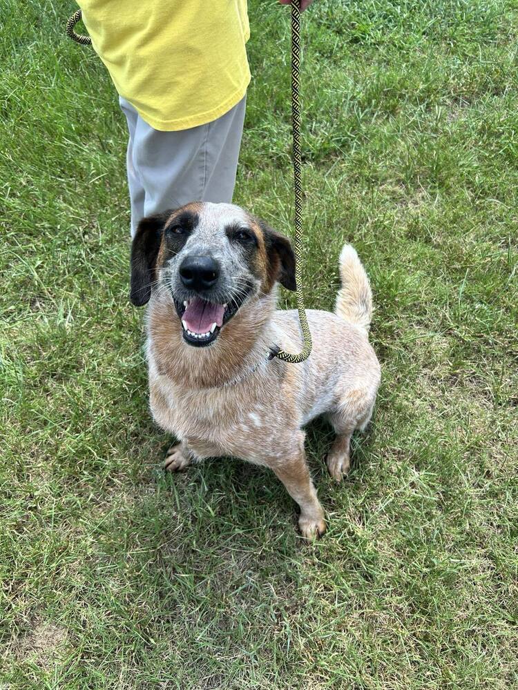 Oakley