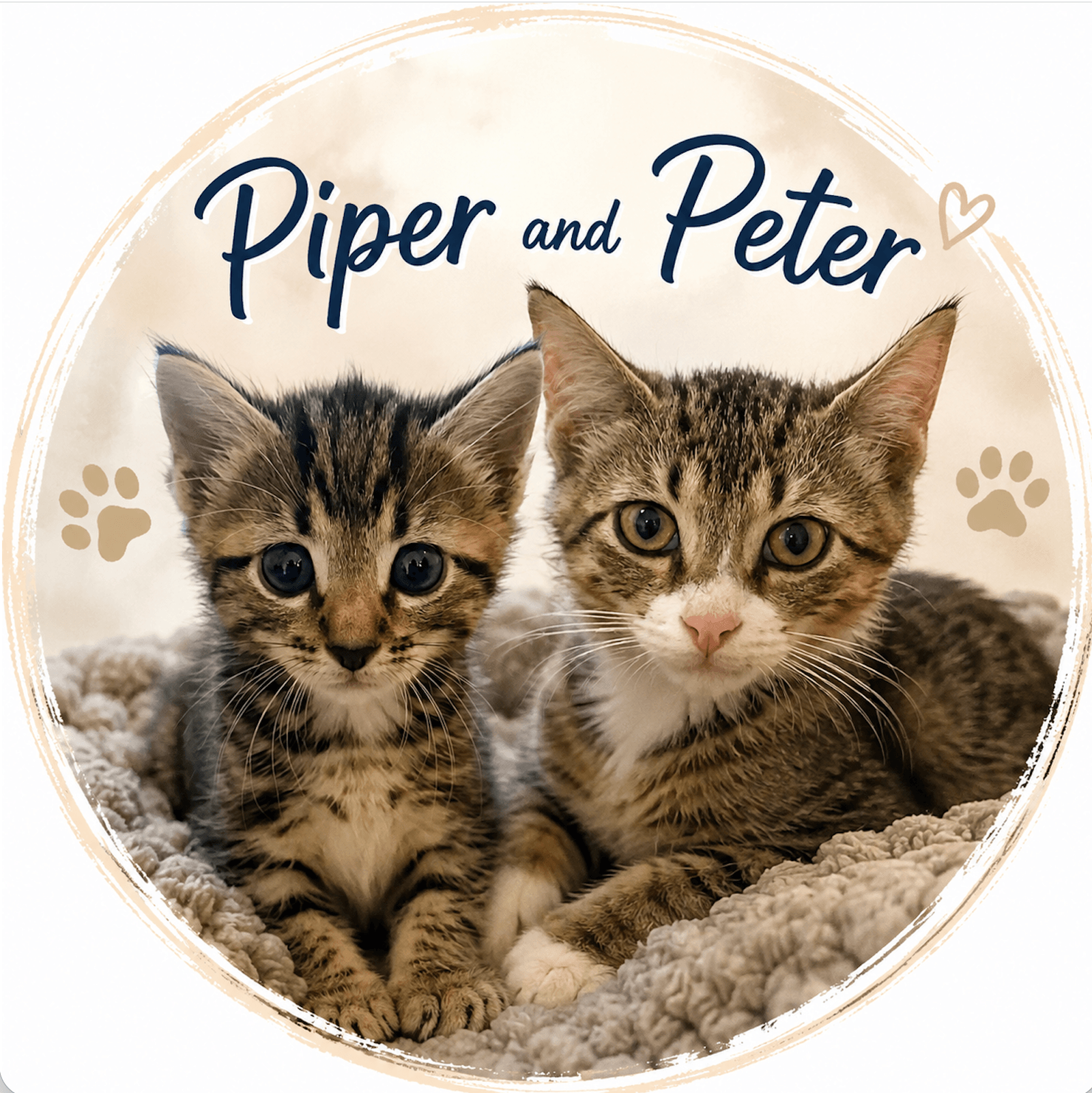 Piper  Peter