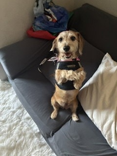 Peaches - South Bay La