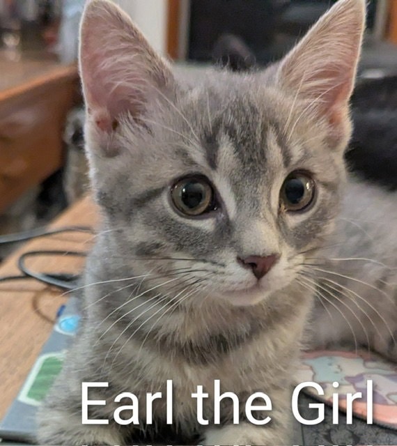 Earl The Girl