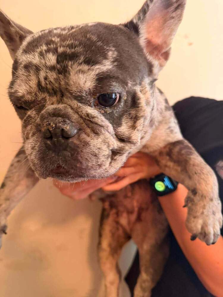 Babs Ga