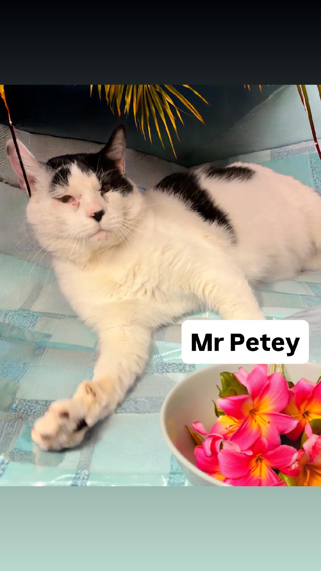 Mr Petey At Martinez Pet Food Express June Th