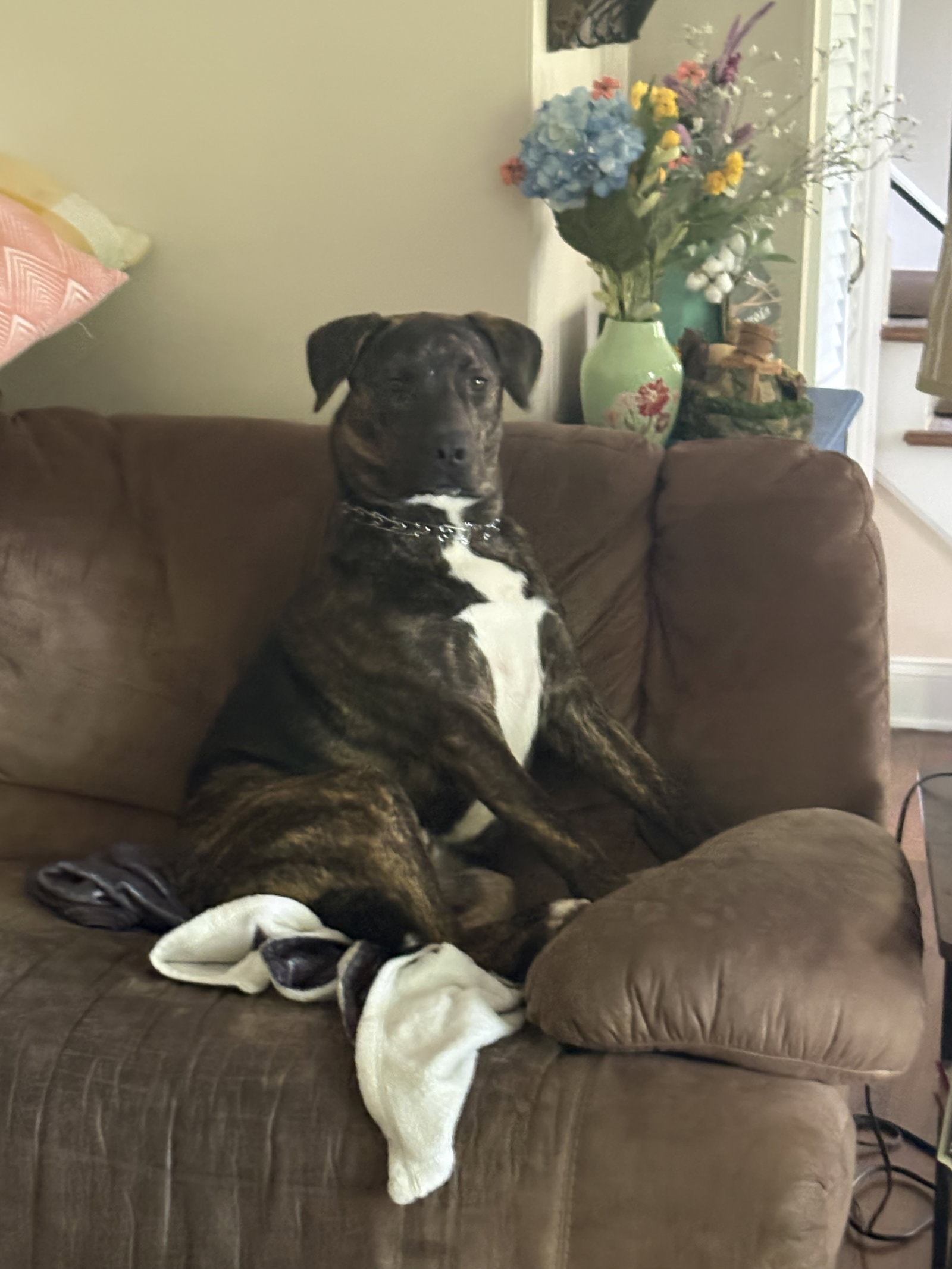 Tucker
