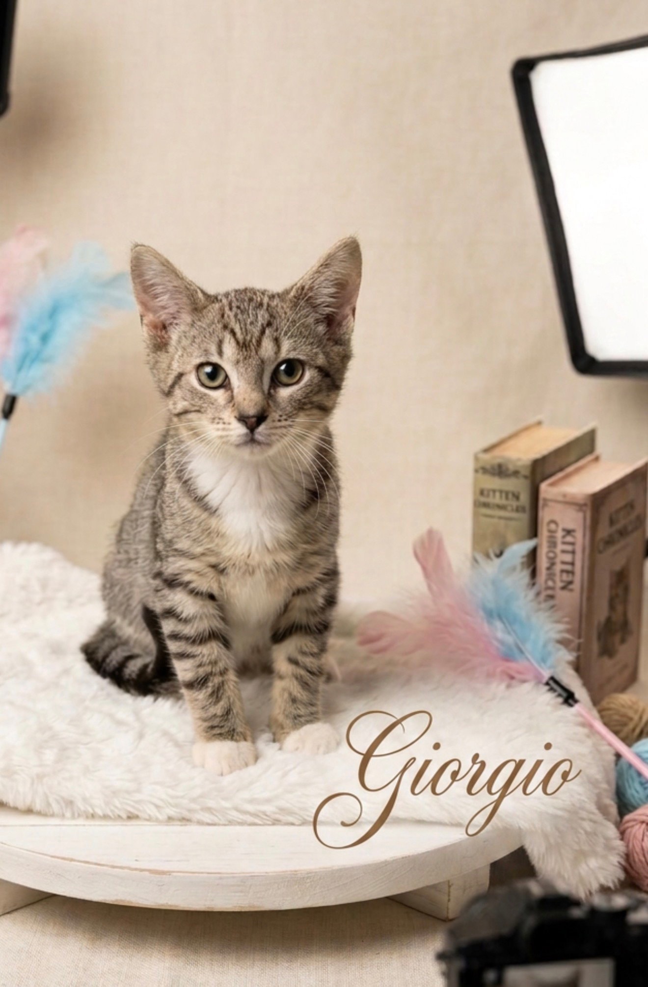 Giorgio