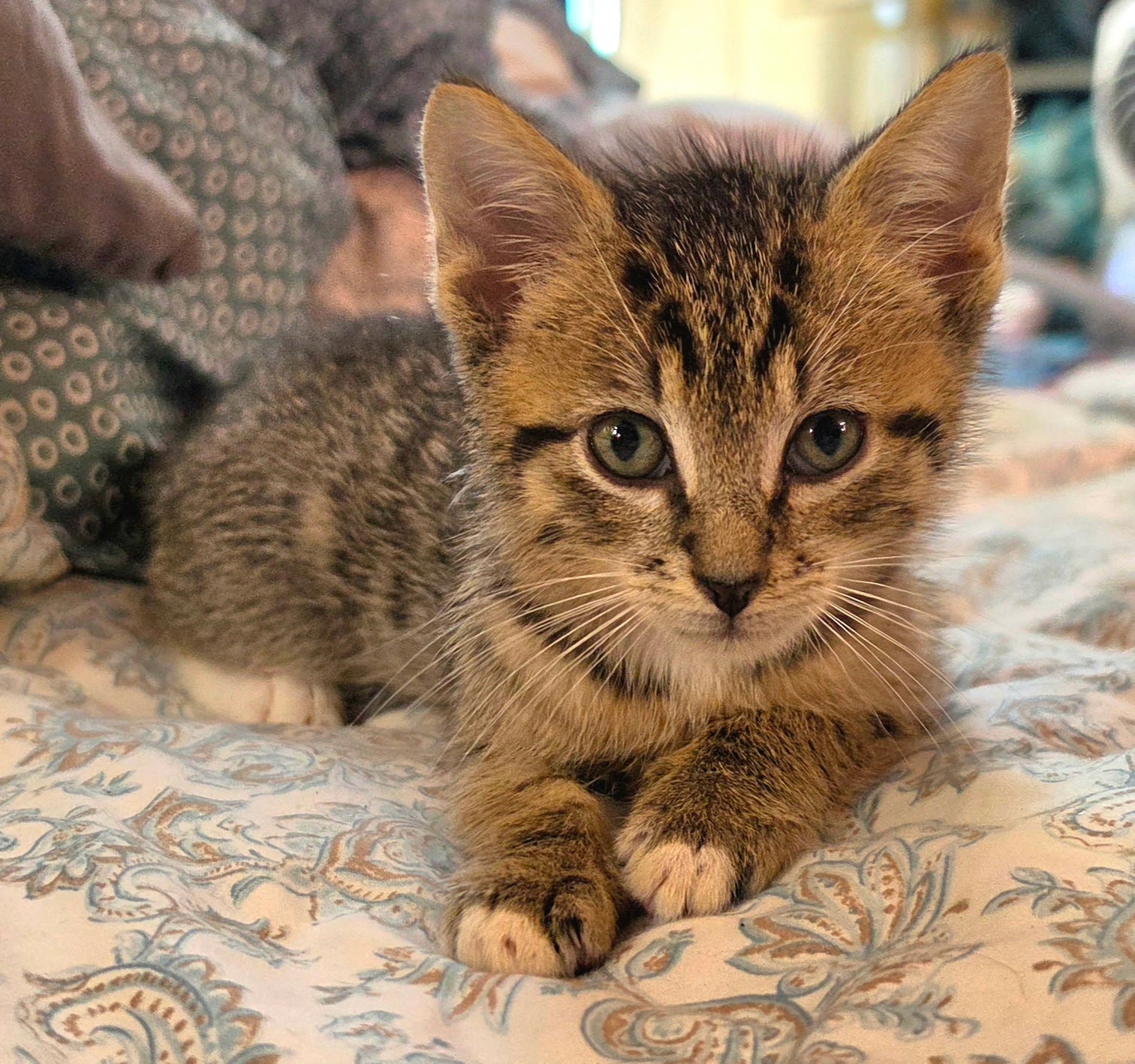 Salvador