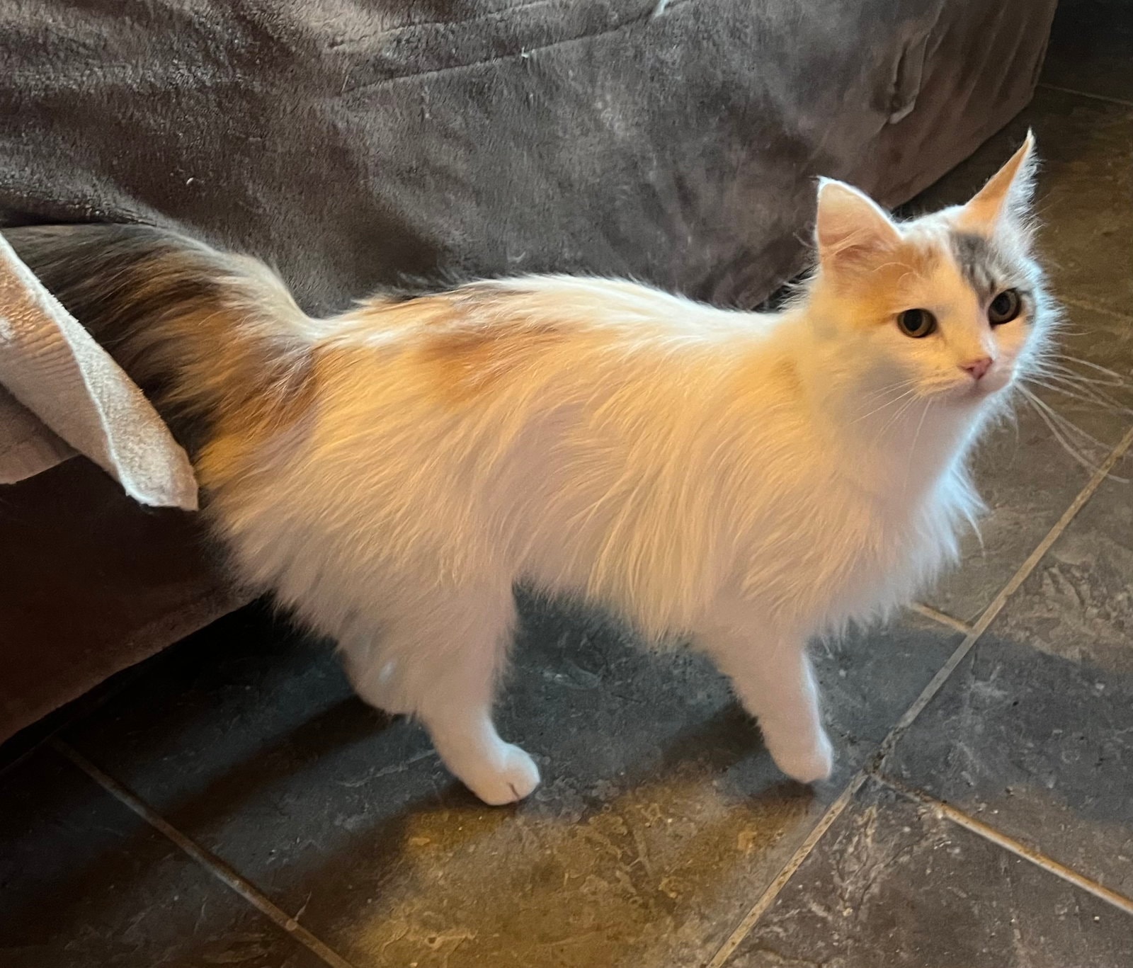 Pretty Patches