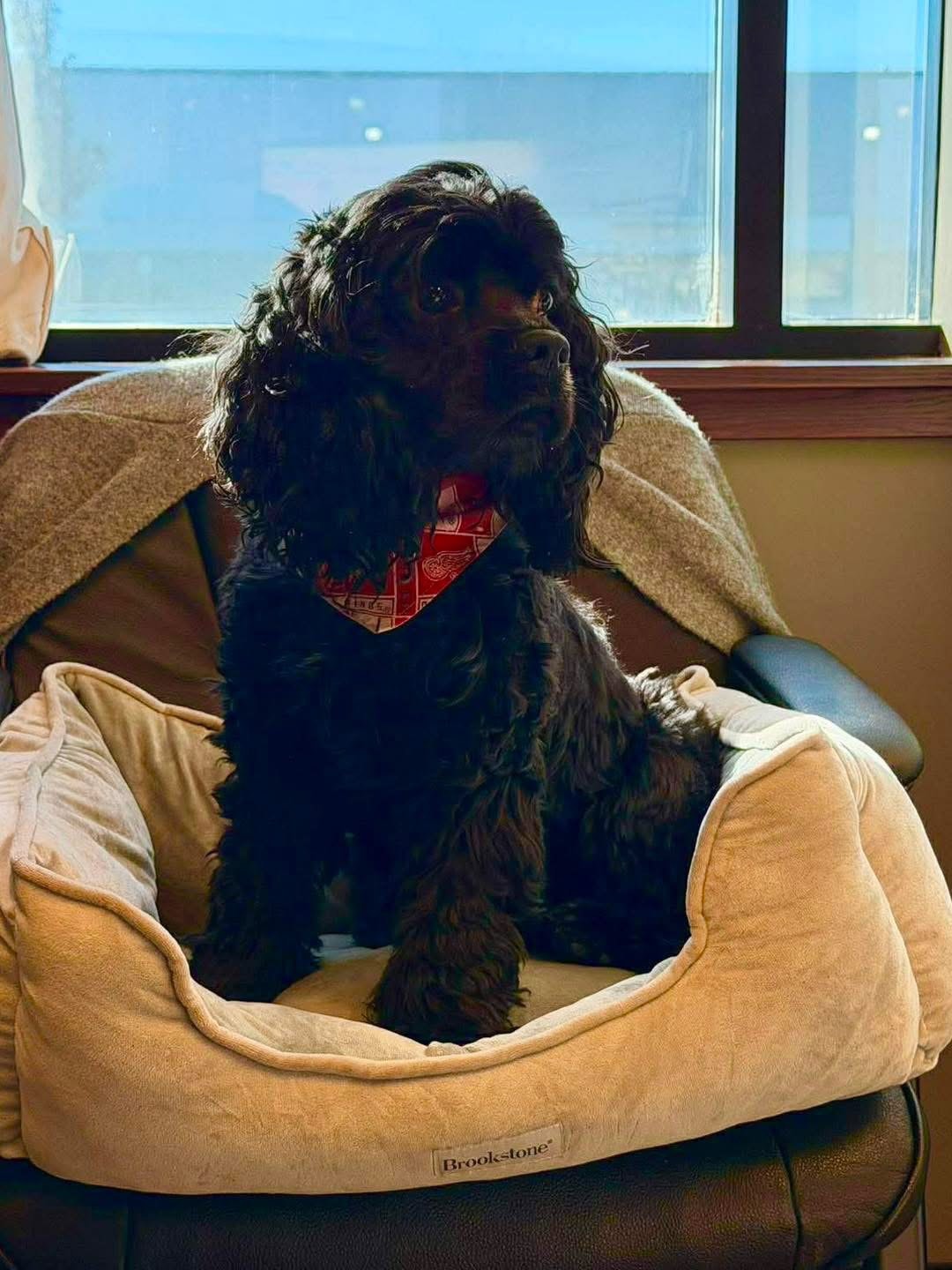 Mia