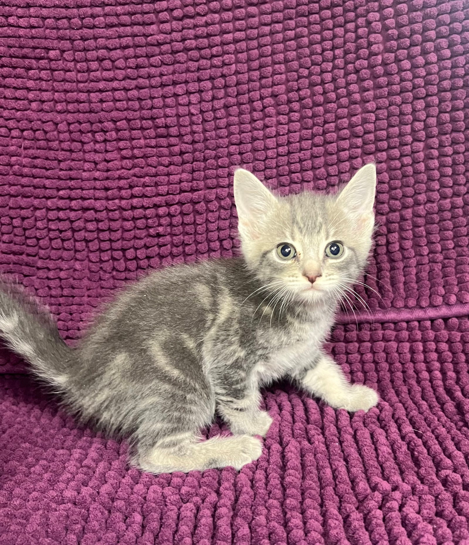 Parker