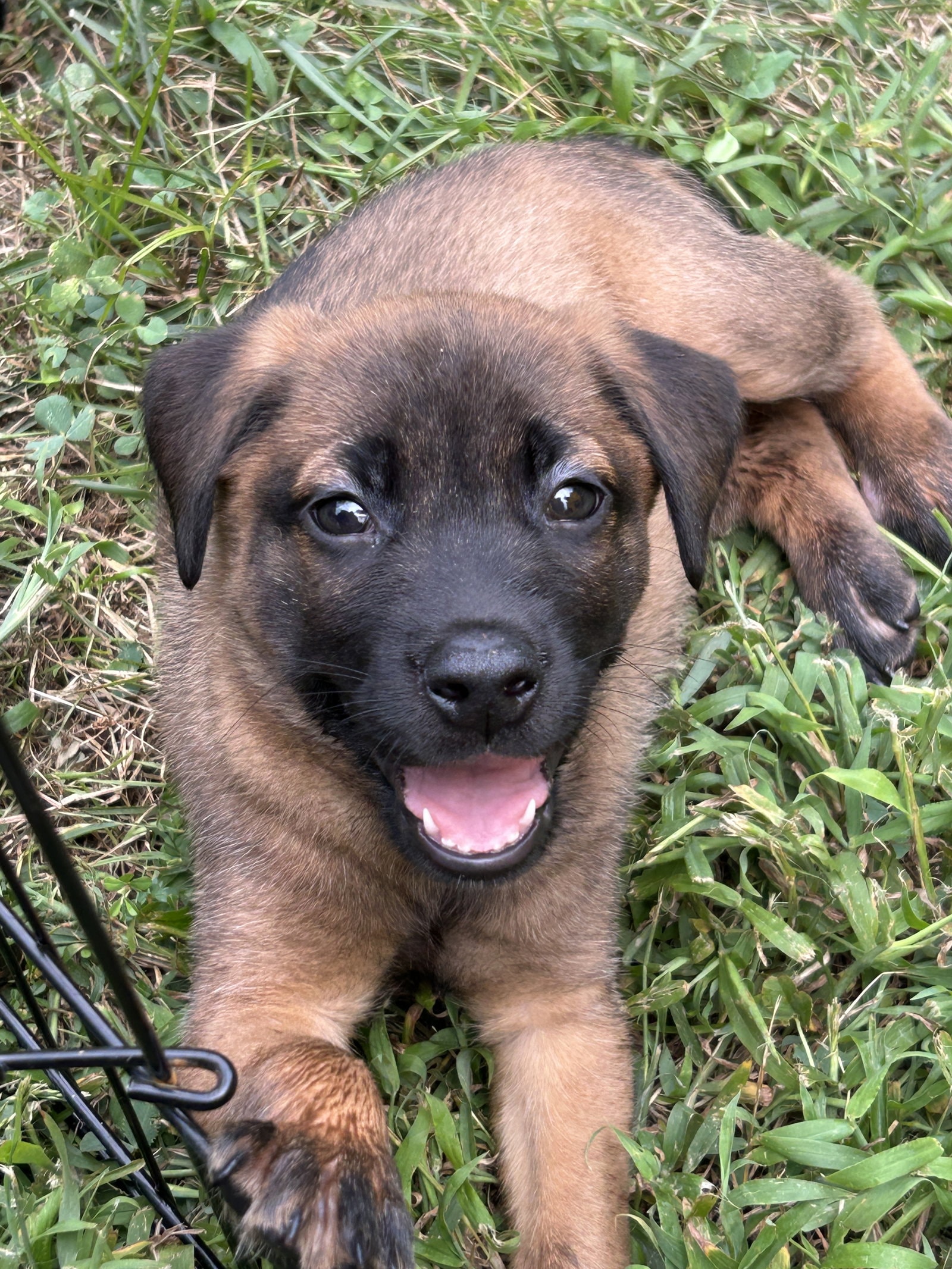 Buster
