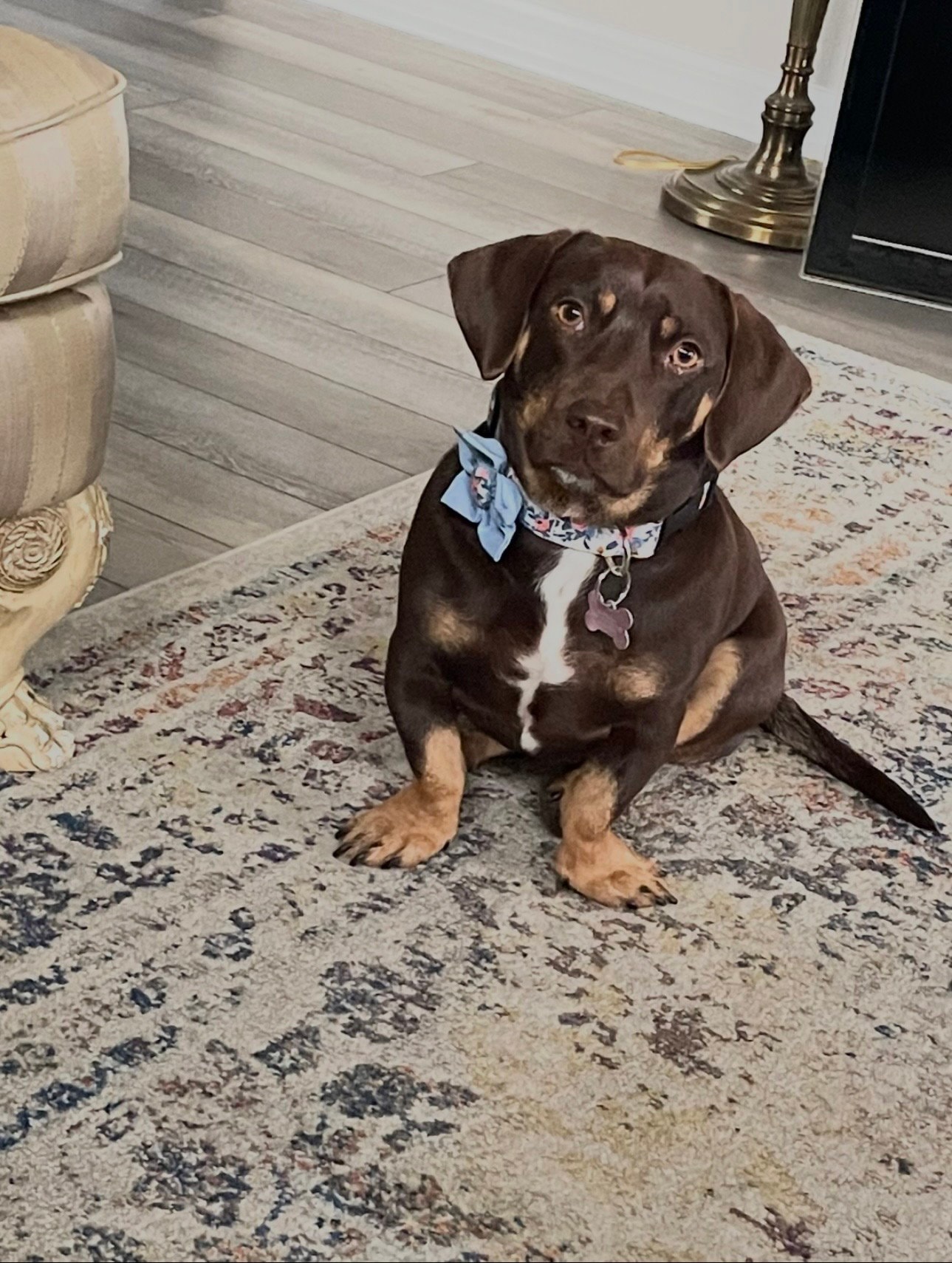 Chloe