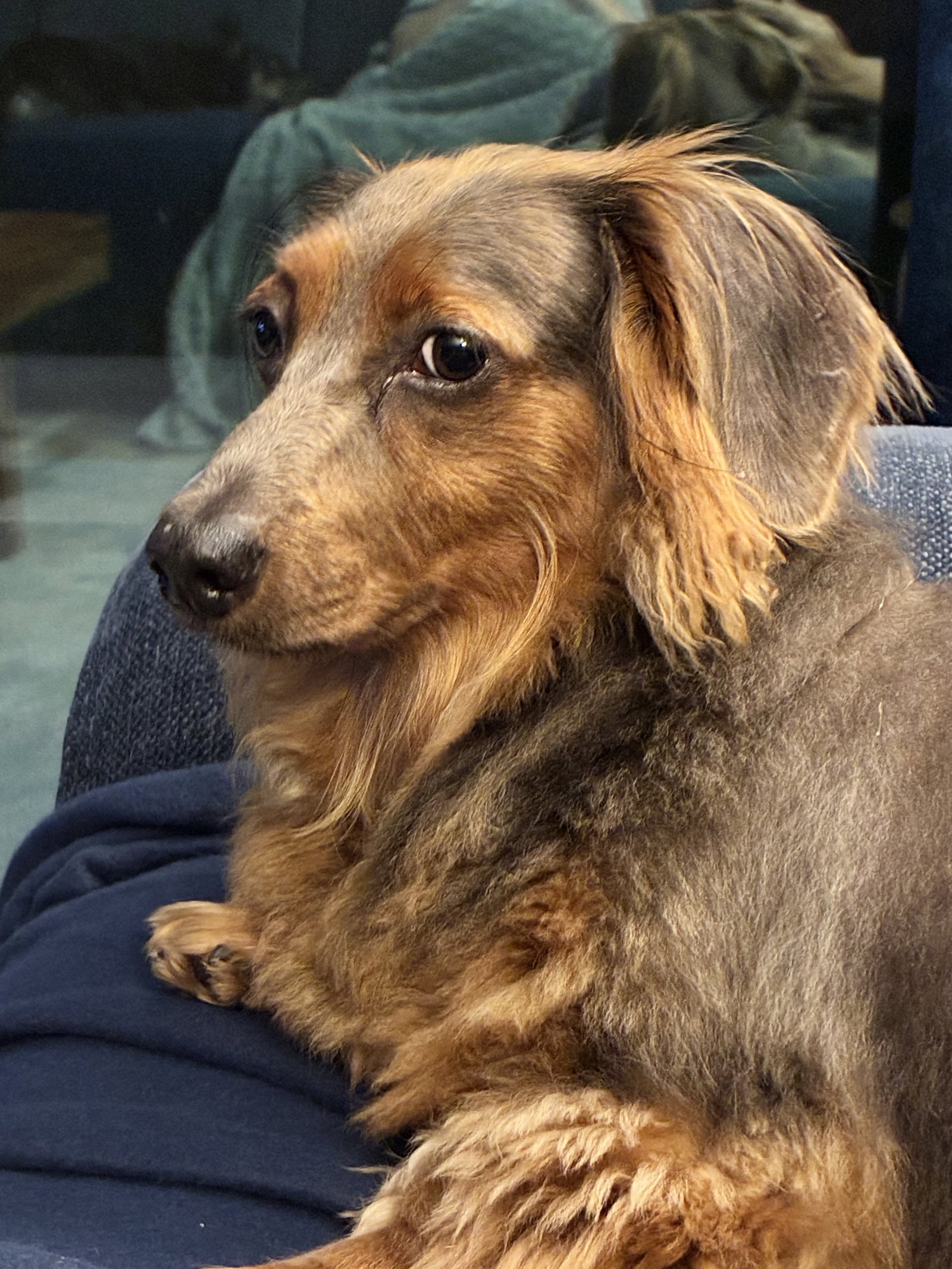 Benji