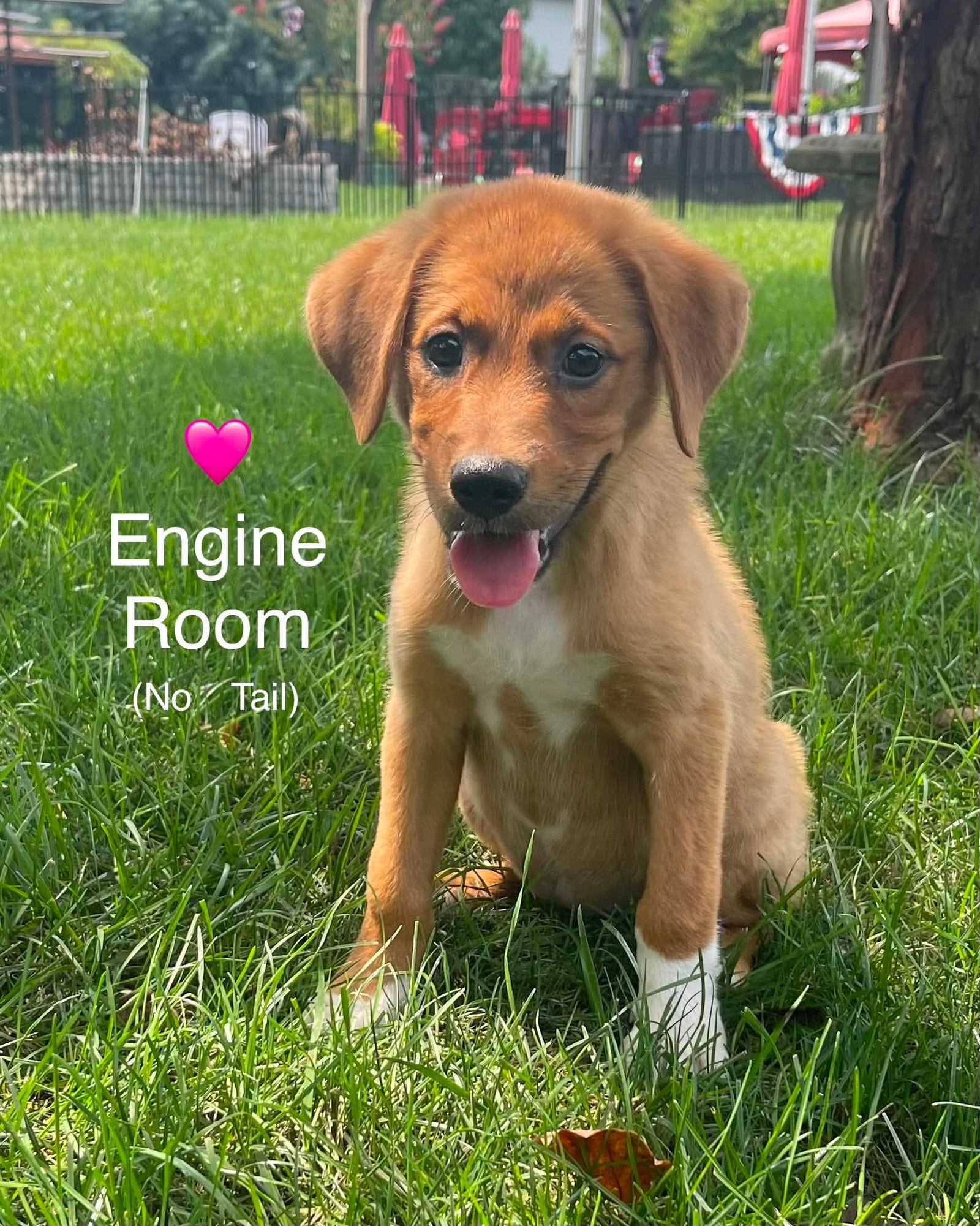 Engine Room