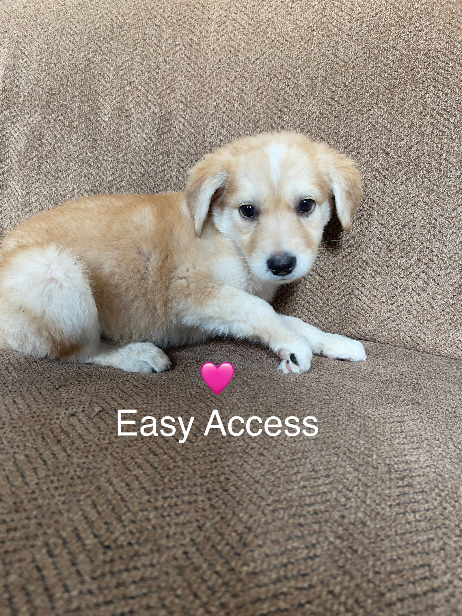 Easy Access
