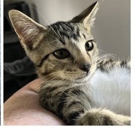 Purry
