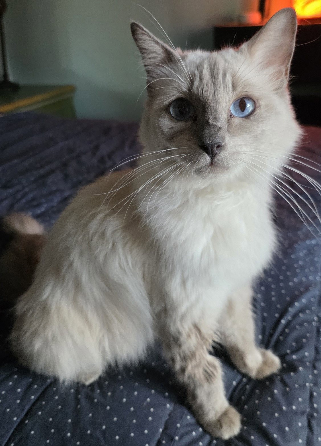 Luna