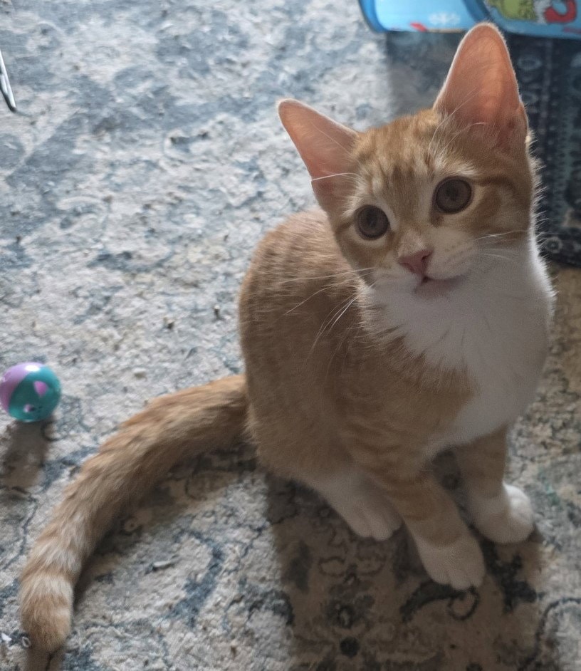 Peter