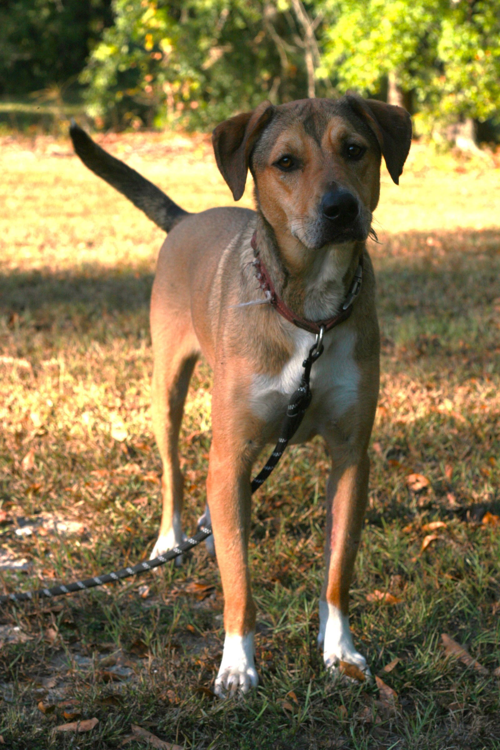 Nora