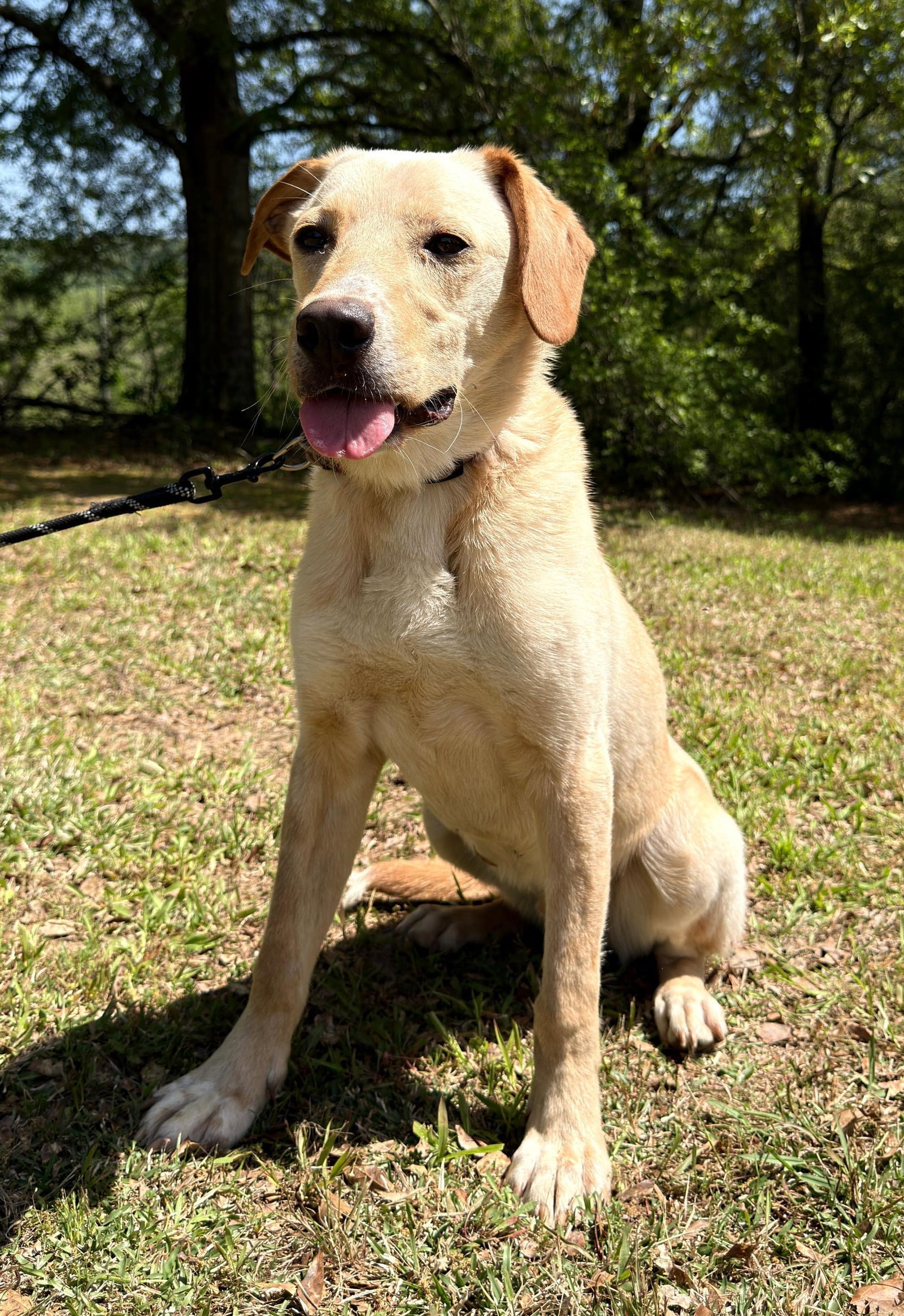 Coosa