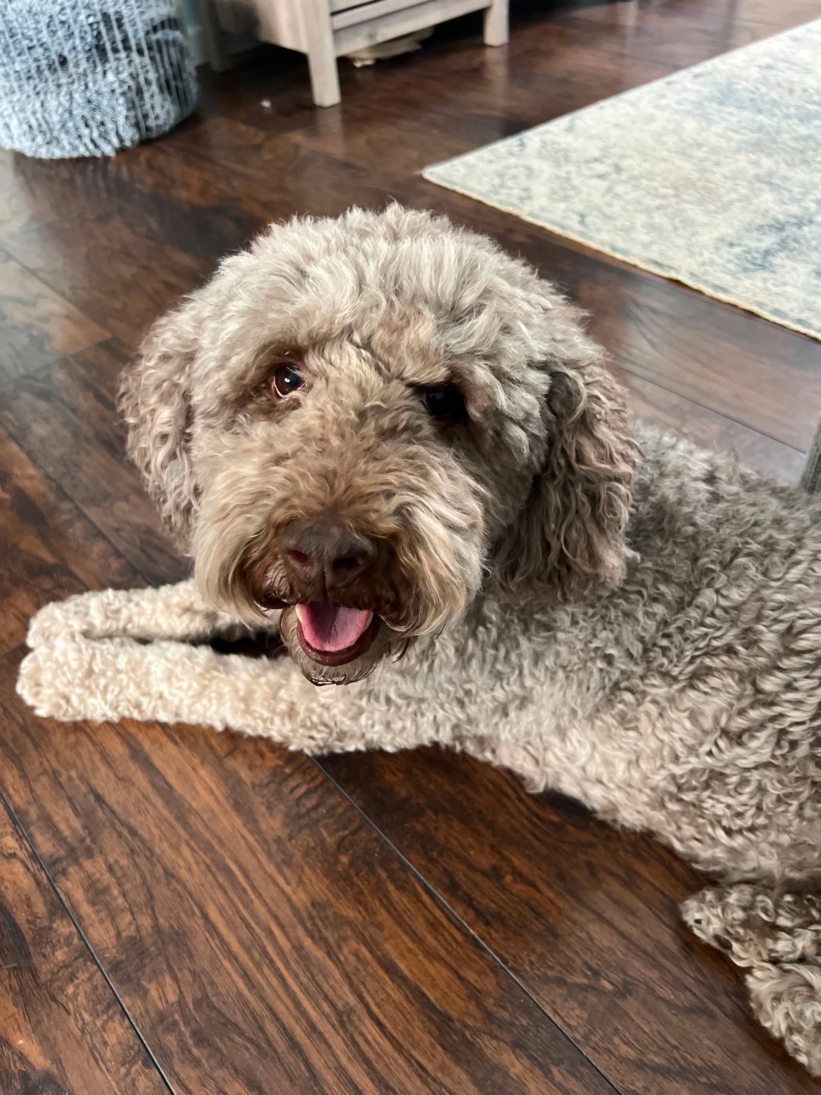 Hazel