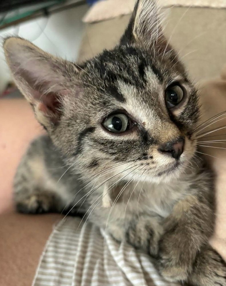 Eugene