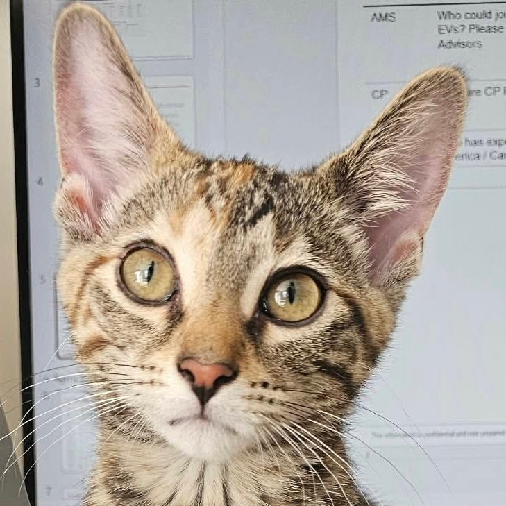 Peanut