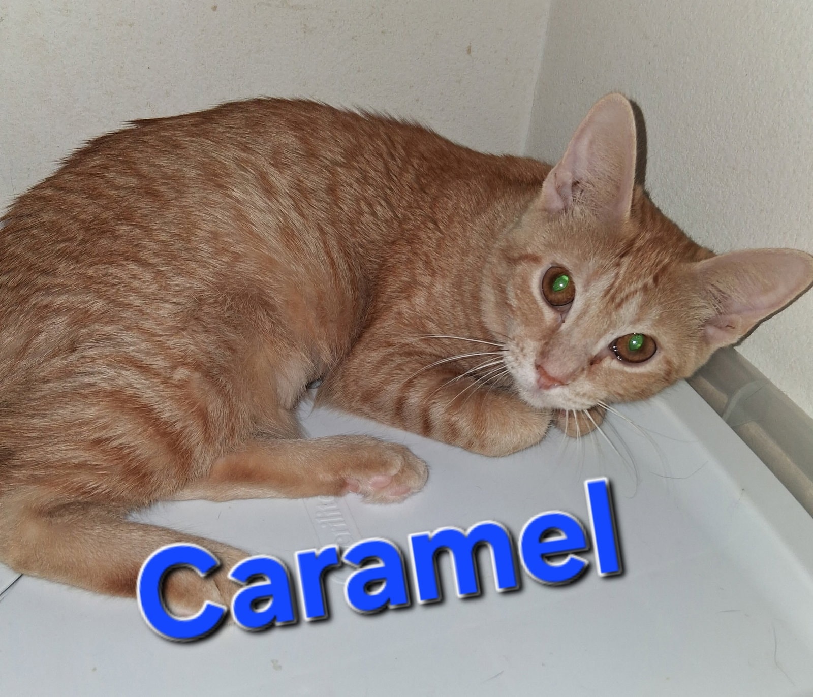 Caramel