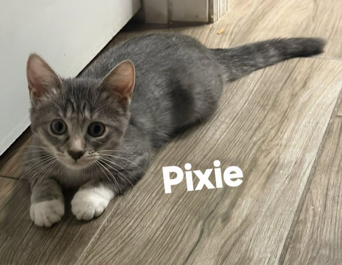 Pixie