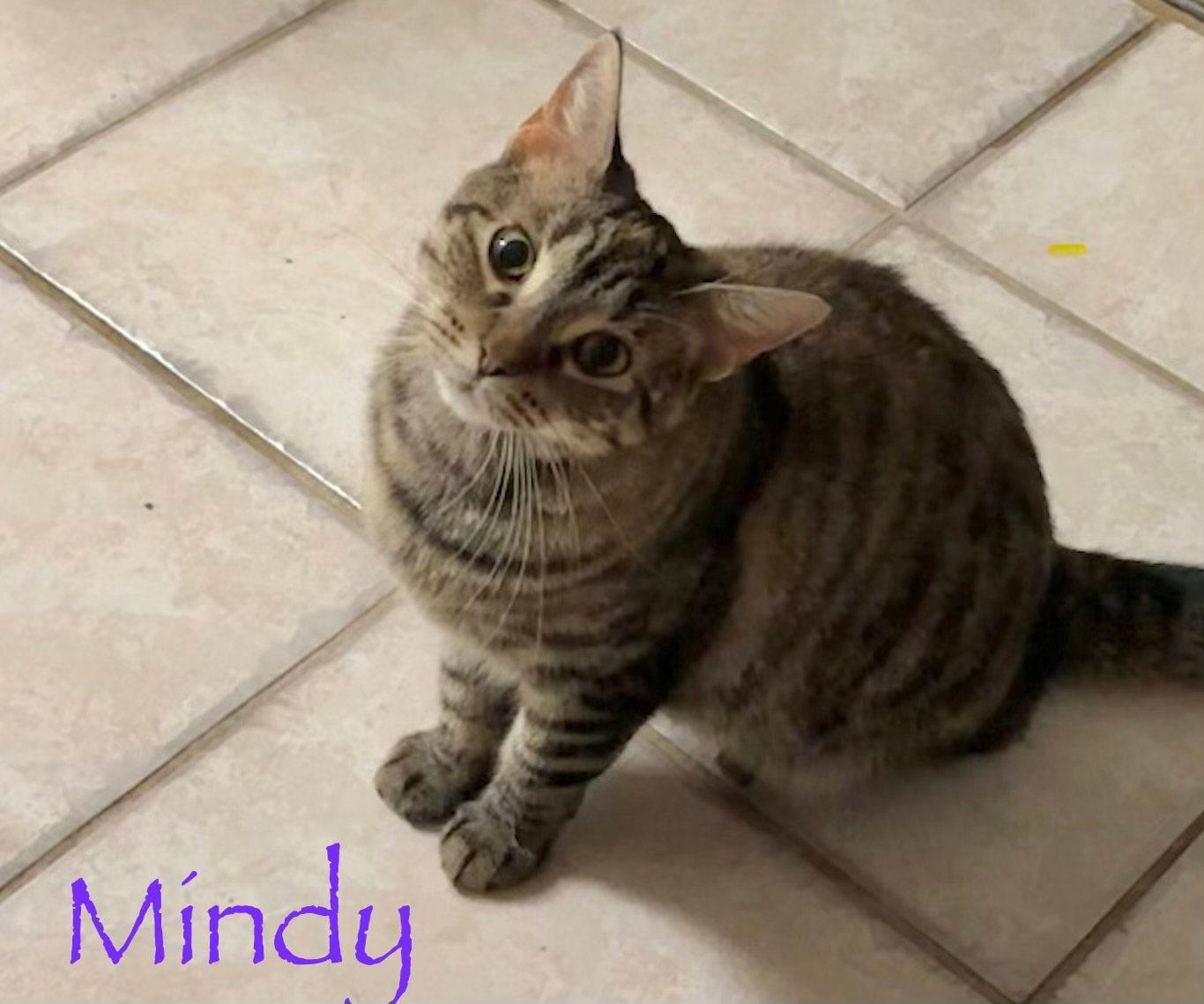 Mindy