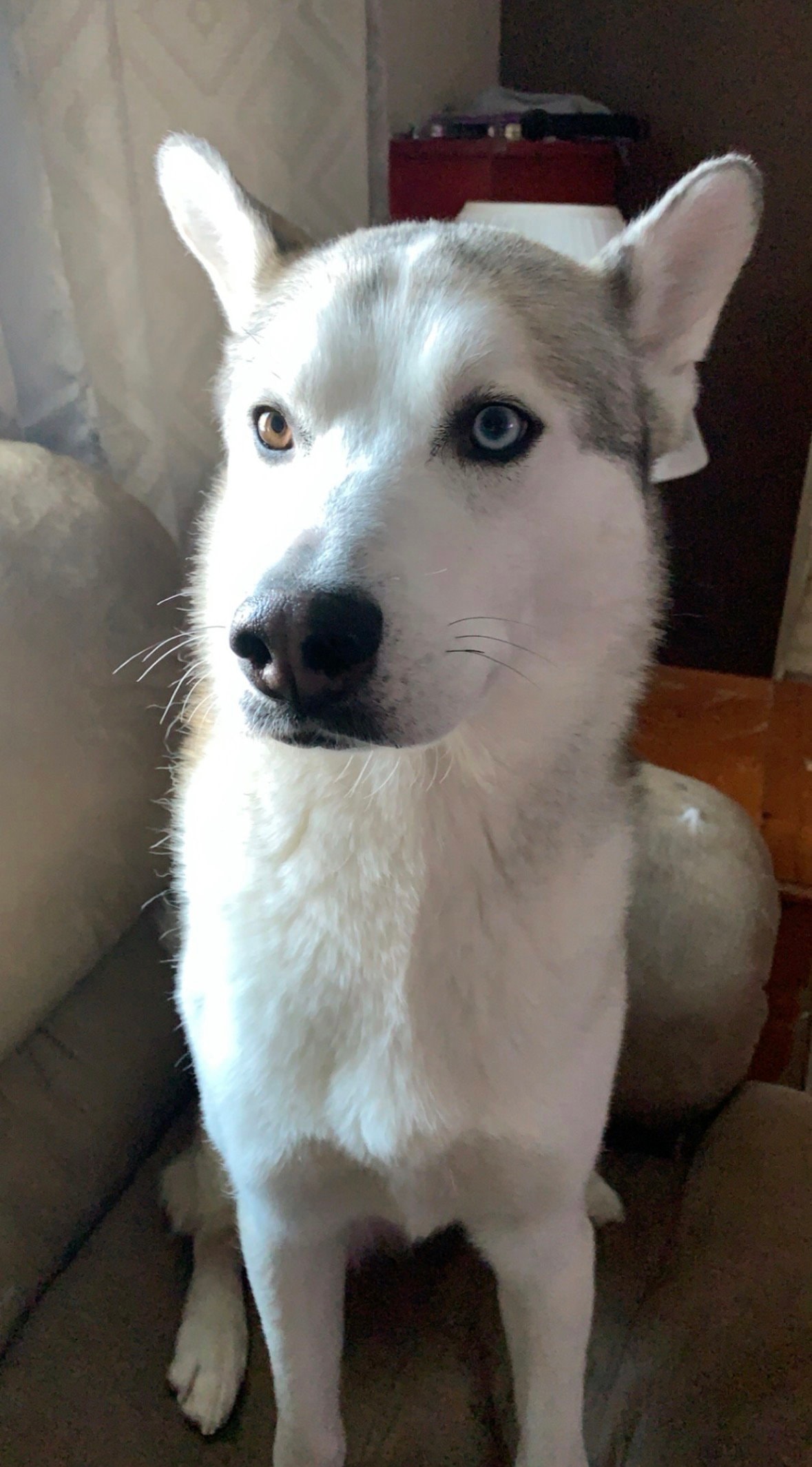 Jack