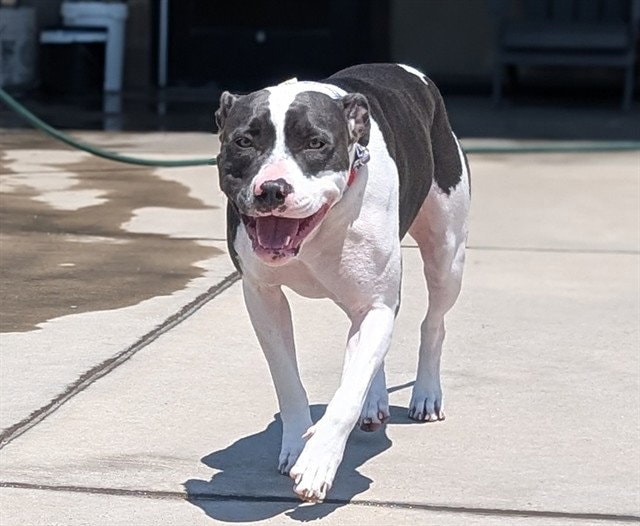 Wilma