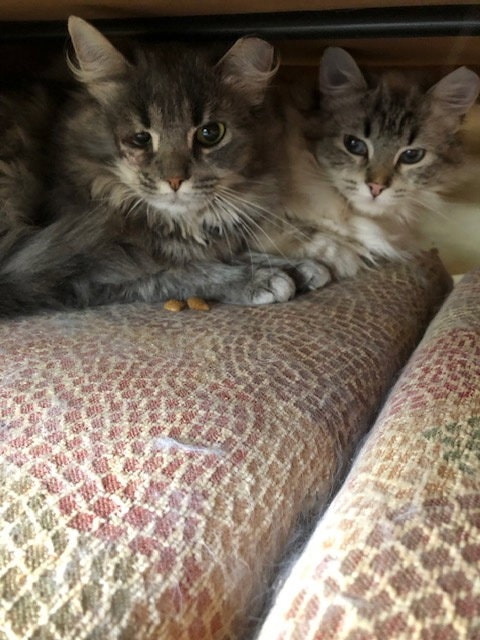 Lacey Bonded With Lance