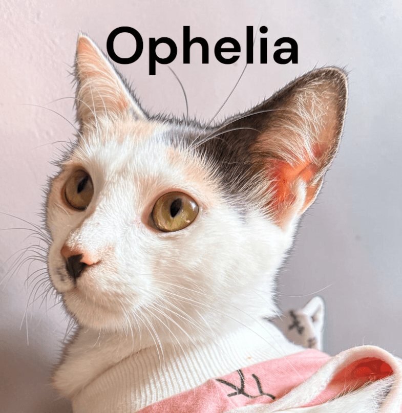 Ophelia