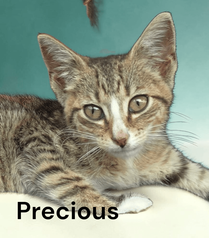 Precious