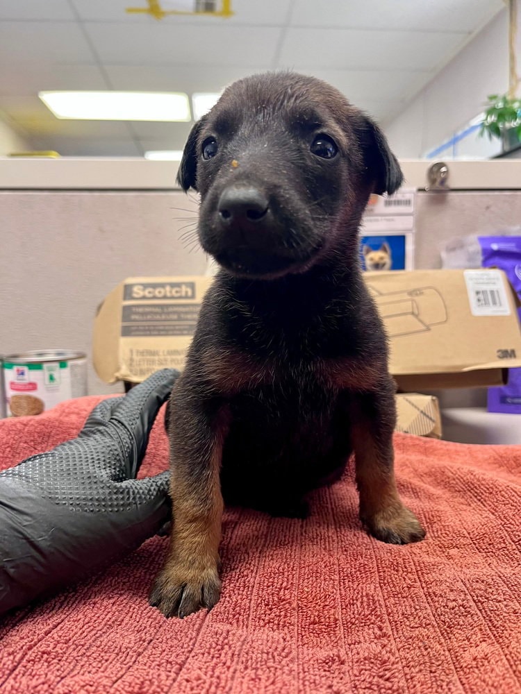 Louise- Located In California