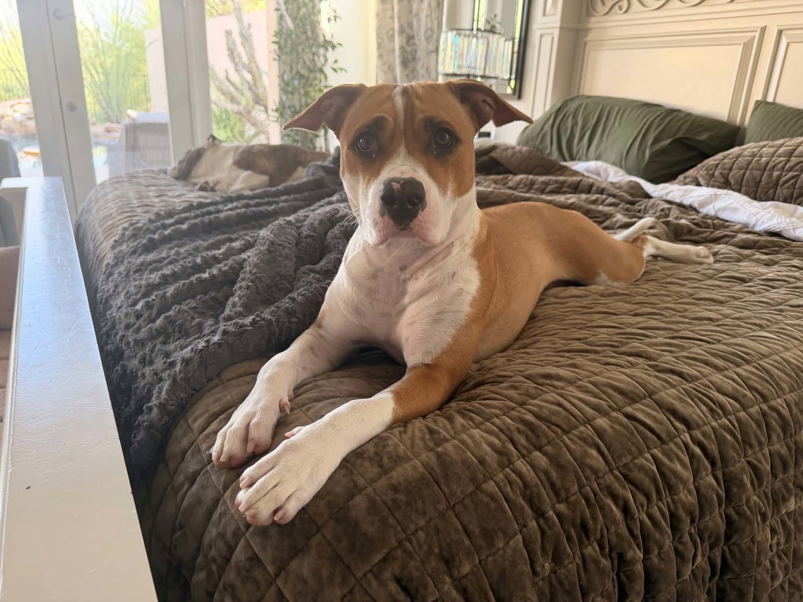 Georgia