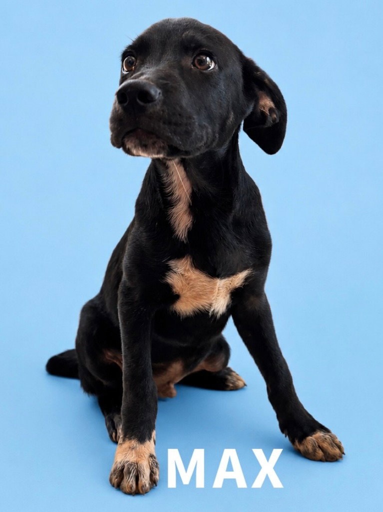 Max