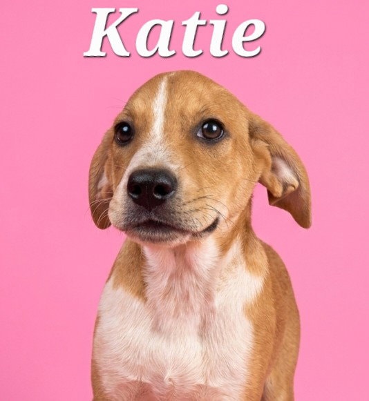 Katie