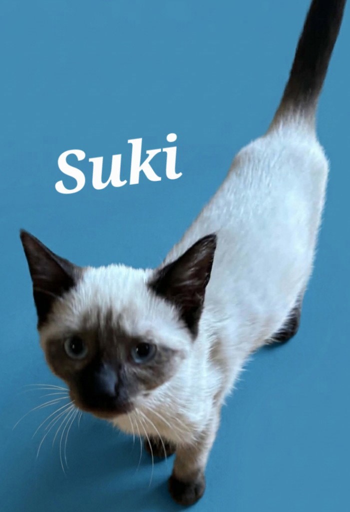 Suki