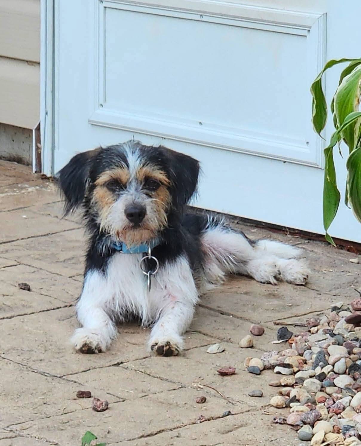 Ralphie