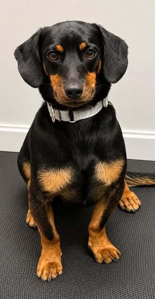Benny