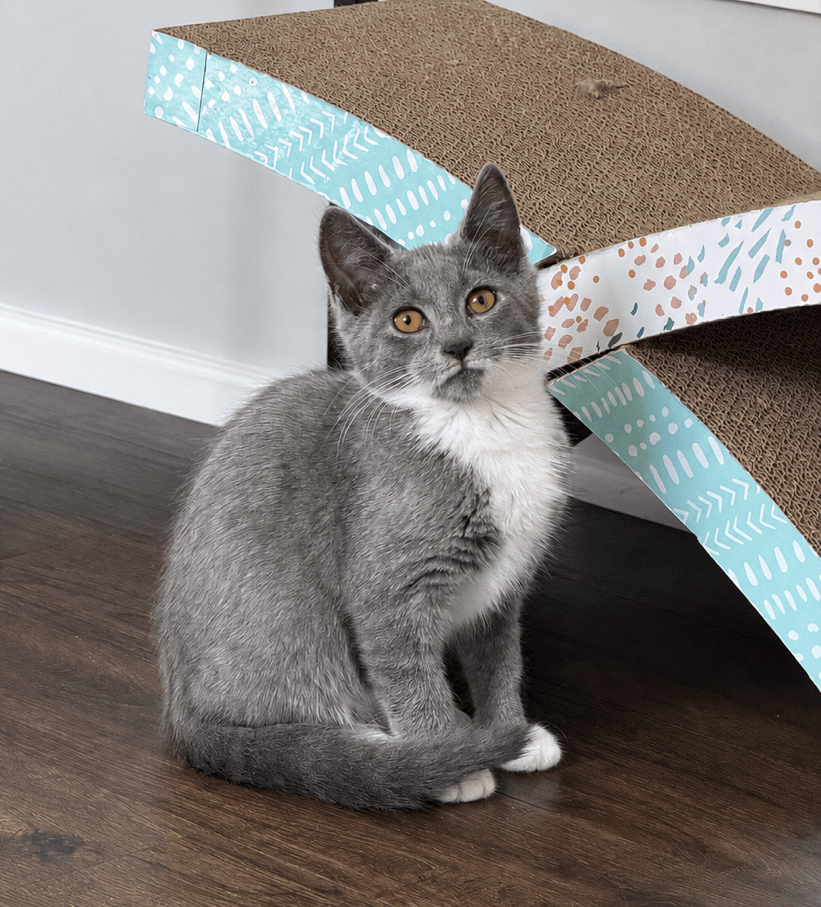 Pip